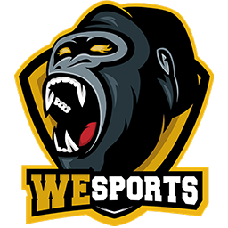 WeSports